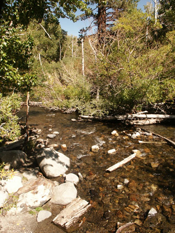 ConvictCreek.jpg