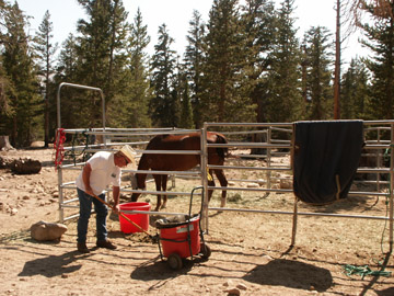 Cotton-Horse-Camp.JPG